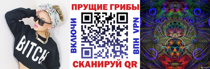 Псилоцибиновые грибы Psilocybe  ОМГ ОМГ вход  Колпашево 